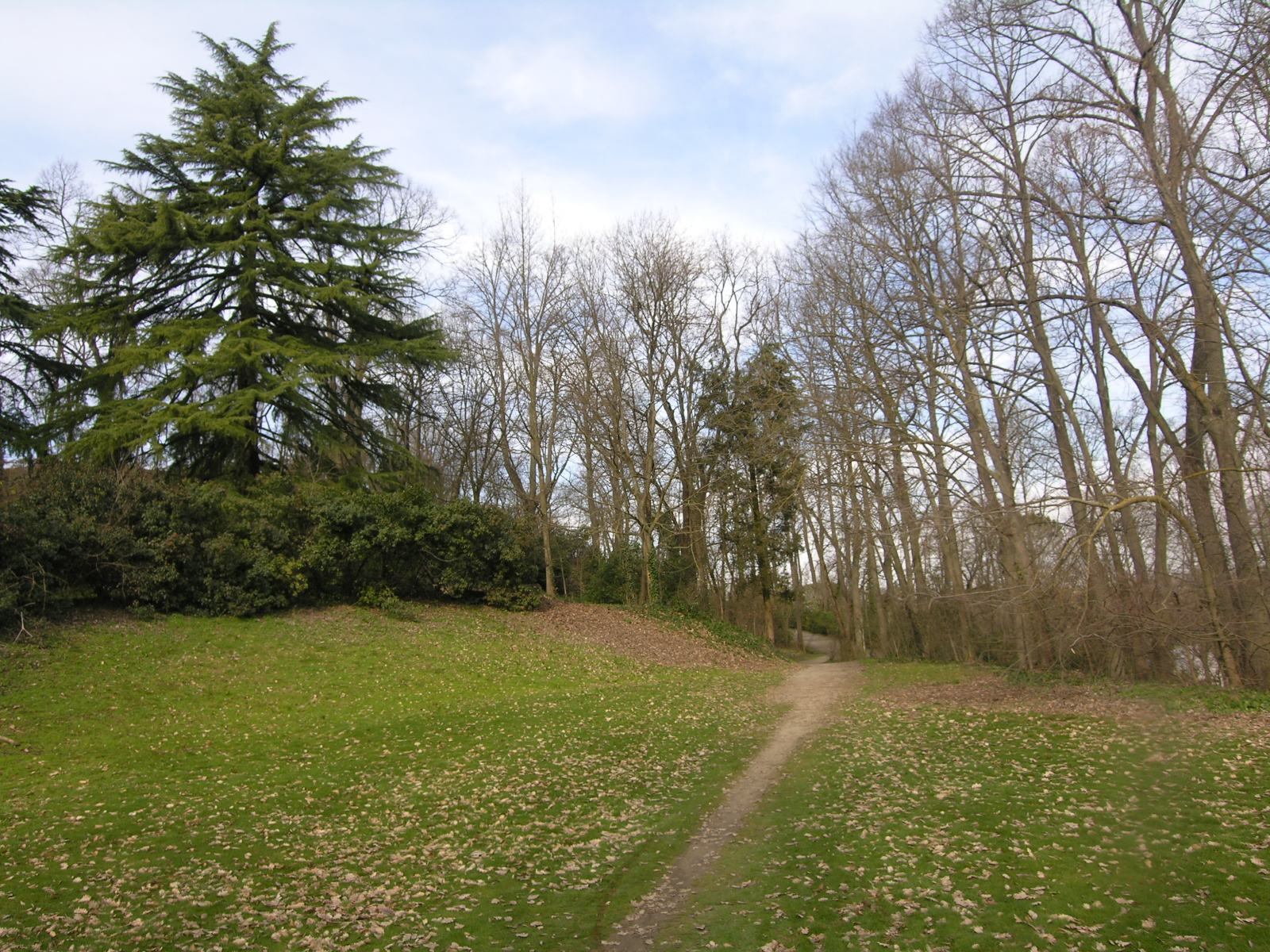 Parco Acque Minerali 1 - Imola BO